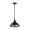 Nuvo Fixture, Pendant, 1-Light, Incandescent, 60W, 120V, A19, Medium Base, Shade Material: No Glass 60/7014 - alternate 2